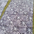 8aa736sc thumb